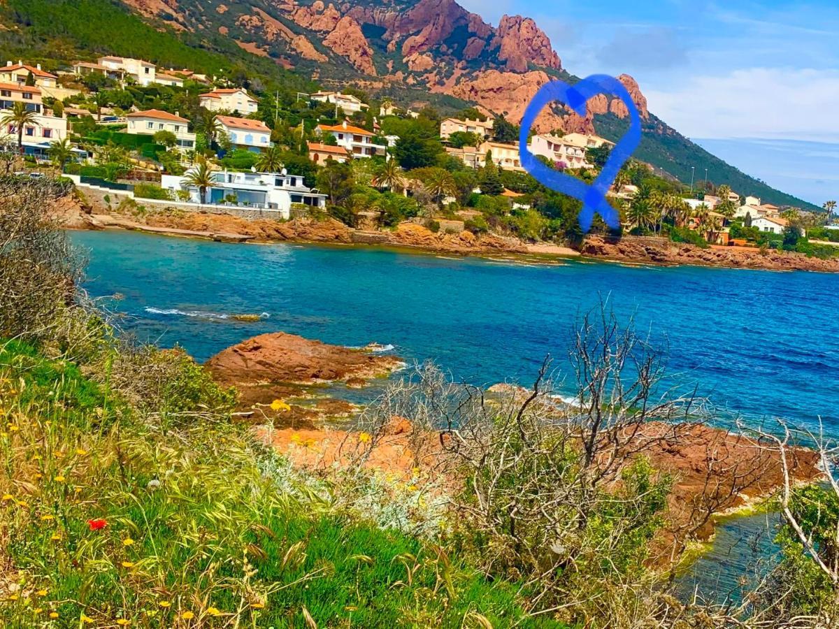 La Belle Vue-Charming Duplex Apartment With Sea View, 50 Meters From Beach And Private Parking Saint-Raphaël 외부 사진