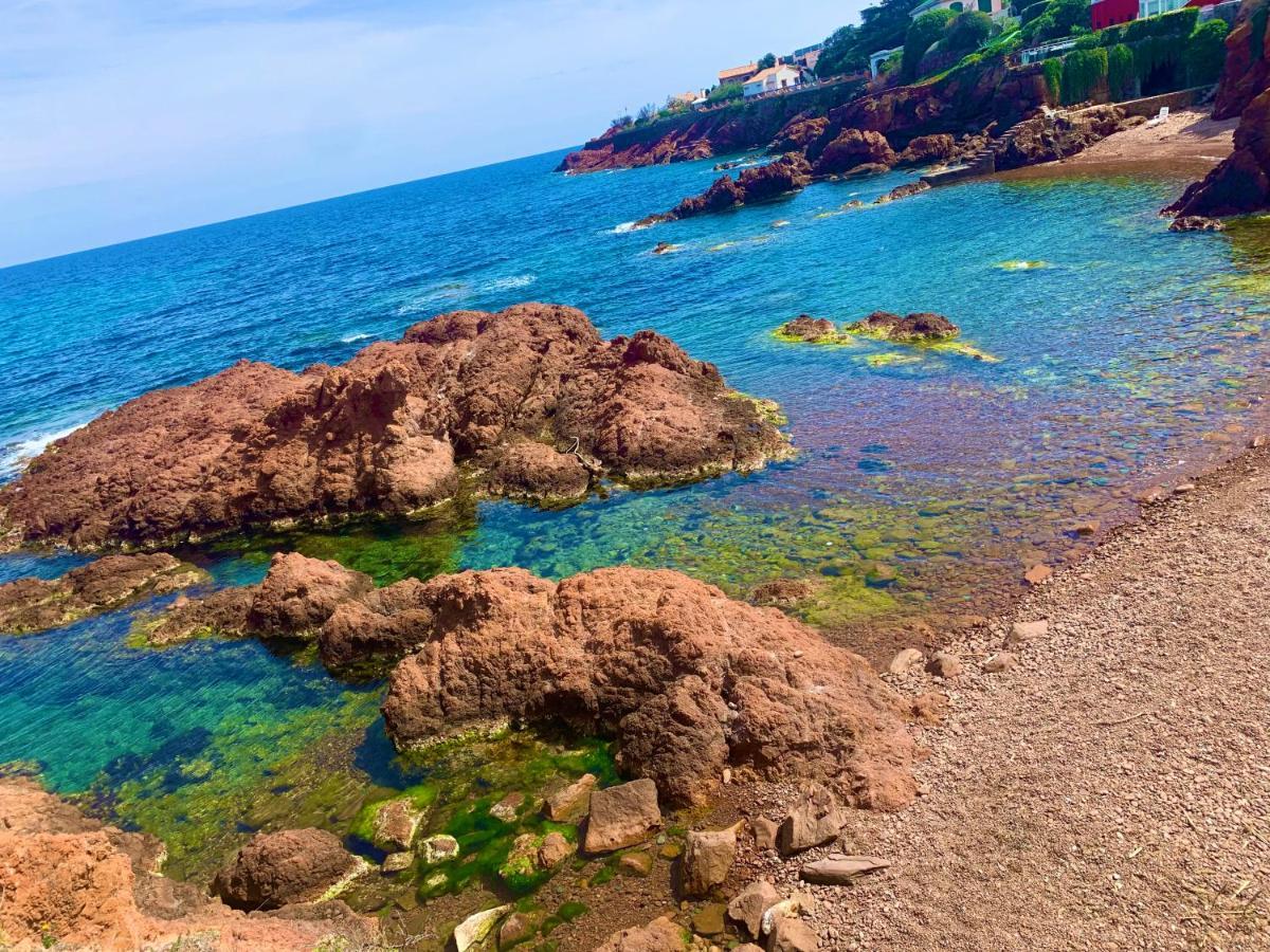 La Belle Vue-Charming Duplex Apartment With Sea View, 50 Meters From Beach And Private Parking Saint-Raphaël 외부 사진